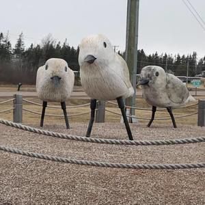 Meet your Posher, Jacqueline